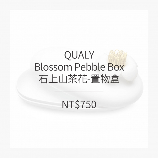 QUALY 石上山茶花-置物盒 (5色)