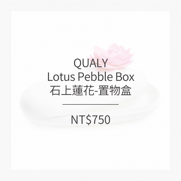 QUALY 石上蓮花-置物盒 (3色)